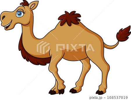 Cute camel cartoon on white background Cute camel cartoon on white background 108537019