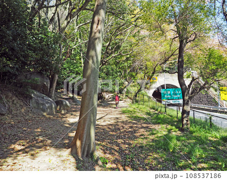 福岡県北九州市の登山拠点の公園河頭山公園 108537186