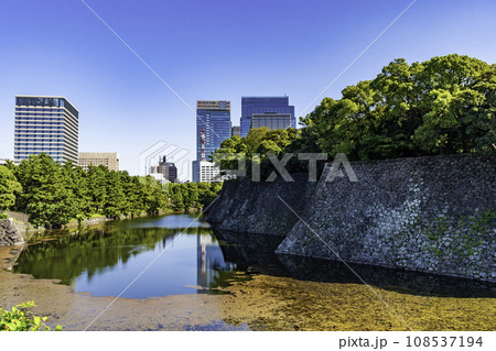 東京北の丸公園　平川濠　東京都千代田区 108537194