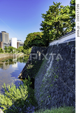 東京北の丸公園　平川濠　東京都千代田区 108537196