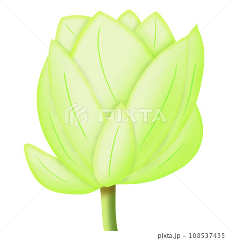 a lotus flower in the pot 108537435
