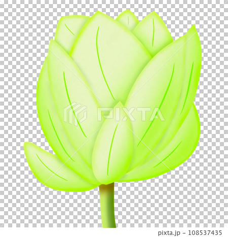 a lotus flower in the pot 108537435
