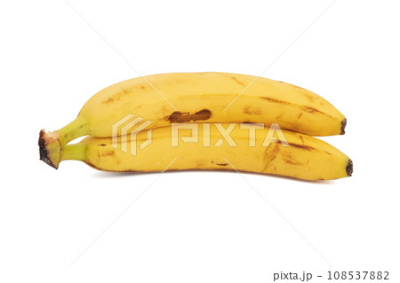 Bunch of bananas isolated on white background Bunch of bananas isolated on white background 108537882