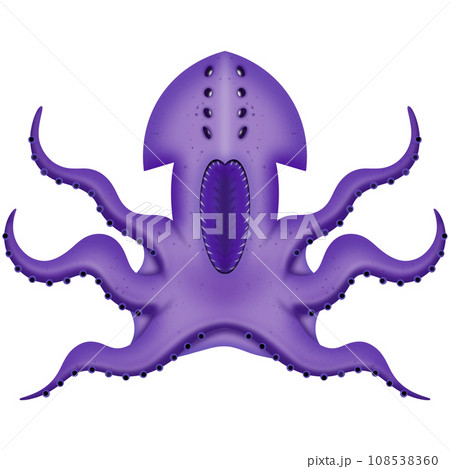Ghost squid  108538360