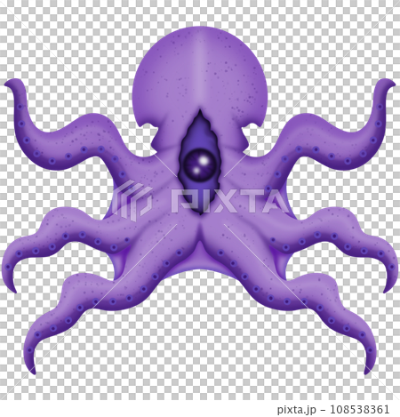 Ghost squid Ghost squid 108538361