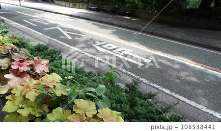 バス停前の道路 108538441