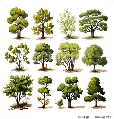 Set of trees water color isolated on white background generative Ai. 108538794