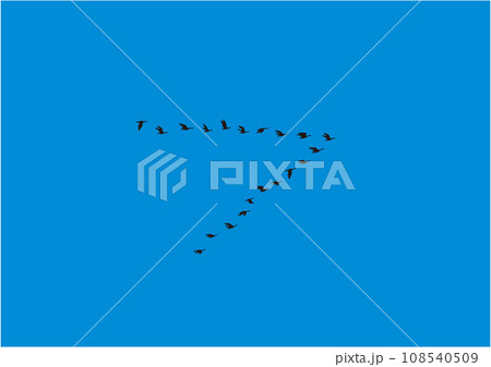 青空に数十羽の渡り鳥が飛んでいるイラスト 108540509
