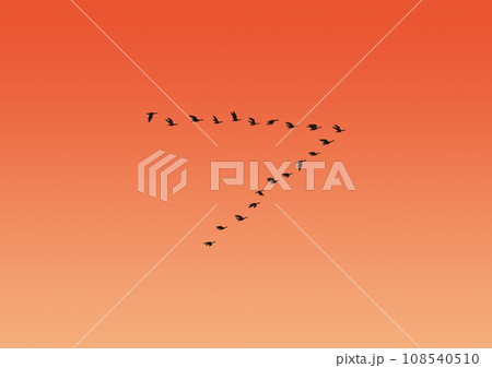 夕焼けに数十羽の渡り鳥が飛んでいるイラスト 夕焼けに数十羽の渡り鳥が飛んでいるイラスト 108540510