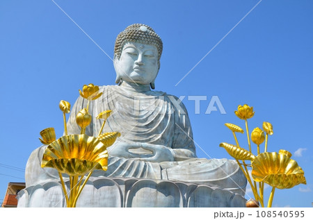 兵庫大仏 108540595