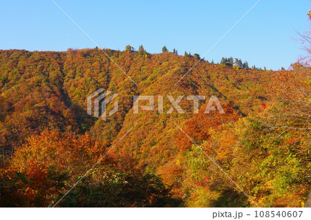 新潟県魚沼市枝折峠に向かう国道352号から見る山々の紅葉 新潟県魚沼市枝折峠に向かう国道352号から見る山々の紅葉 108540607