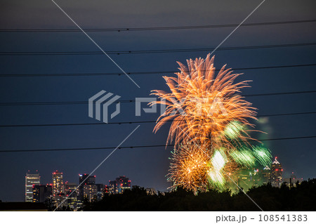 日本の東京都市景観4年ぶり多摩川花火大会。第45回世田谷区たまがわ花火大会の会場側・奥に都庁=21日 日本の東京都市景観4年ぶり多摩川花火大会。第45回世田谷区たまがわ花火大会の会場側・奥に都庁=21日 108541383