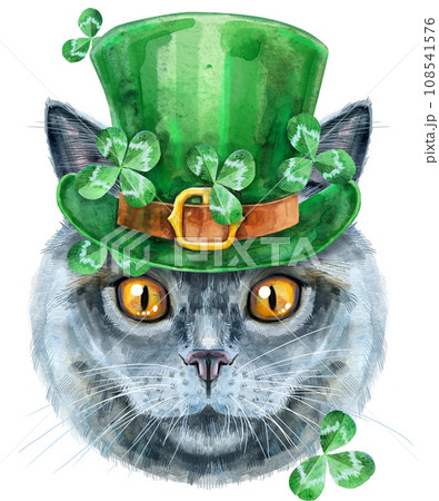 Lovely closeup portrait of British Shorthair in the classic color blue cat in a leprechaun hat. Hand drawn watercolor painting on white background 108541576