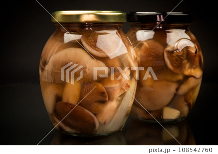 pickled wild boletus mushrooms in a glass jar 108542760