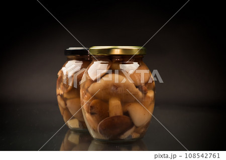 pickled wild boletus mushrooms in a glass jar 108542761