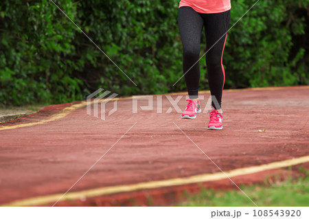 Fitness woman training and jogging in summer park. Healthy lifestyle Fitness woman training and jogging in summer park. Healthy lifestyle 108543920