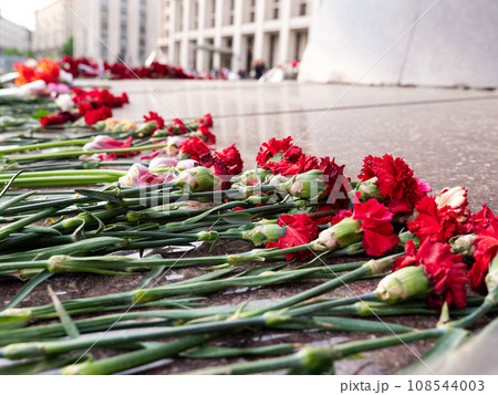 Carnations flowers on memorial monument on granite Carnations flowers on memorial monument on granite 108544003