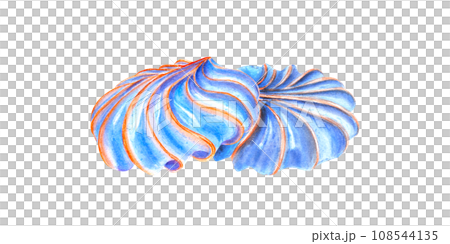 Baked meringue cookies or meringa. Whipped Cream. Blue sweet dessert with orange strips. Watercolor illustration. For package, menu, recipe, label Baked meringue cookies or meringa. Whipped Cream. Blue sweet dessert with orange strips. Watercolor illustration. For package, menu, recipe, label 108544135