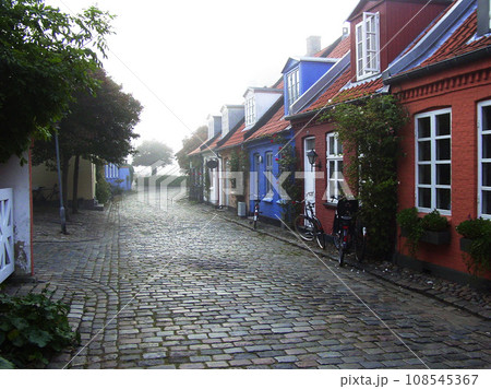 Cottage, cobblestone road and village, travel and neighborhood in Denmark with landscape or background. Traditional, town and tourism with street, property or houses, architecture and countryside 108545367