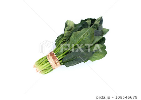 Fresh spinach on white background Fresh spinach on white background 108546679