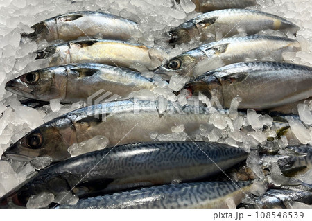 Fresh fish on ice at market Fresh fish on ice at market 108548539