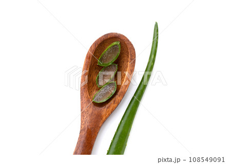 Aloe vera is a popular medicinal plant for health and beauty, on a white background. Aloe vera is a popular medicinal plant for health and beauty, on a white background. 108549091