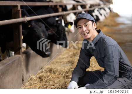 牛を飼育する酪農家 108549212