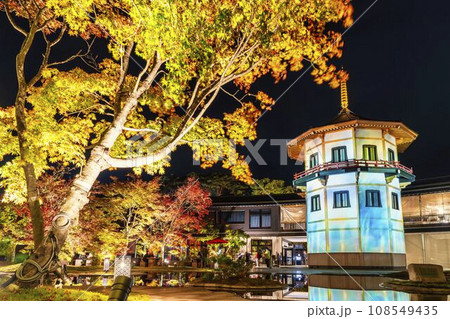 秋の日本三景松島　宮城県松島離宮 「紅葉＆ライトアップ2023」 宮城県松島町 108549435