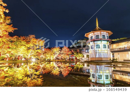 秋の日本三景松島　宮城県松島離宮 「紅葉＆ライトアップ2023」 宮城県松島町 108549439