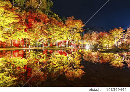 秋の日本三景松島　宮城県松島離宮 「紅葉＆ライトアップ2023」 宮城県松島町 108549443