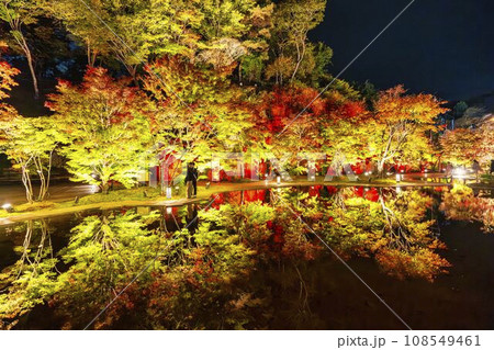 秋の日本三景松島　宮城県松島離宮 「紅葉＆ライトアップ2023」 宮城県松島町 108549461