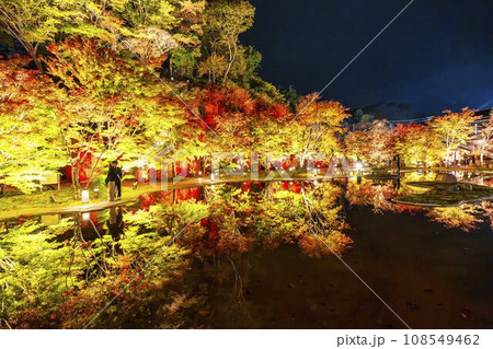 秋の日本三景松島 宮城県松島離宮 「紅葉&ライトアップ2023」 宮城県松島町 秋の日本三景松島 宮城県松島離宮 「紅葉&ライトアップ2023」 宮城県松島町 108549462