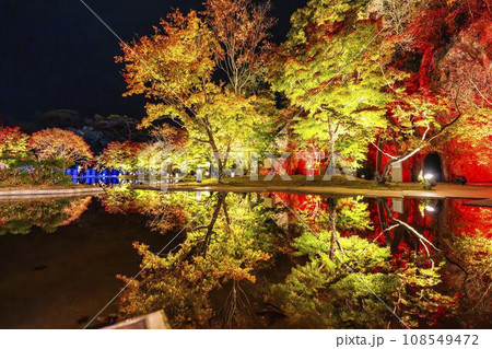 秋の日本三景松島　宮城県松島離宮 「紅葉＆ライトアップ2023」 宮城県松島町 108549472