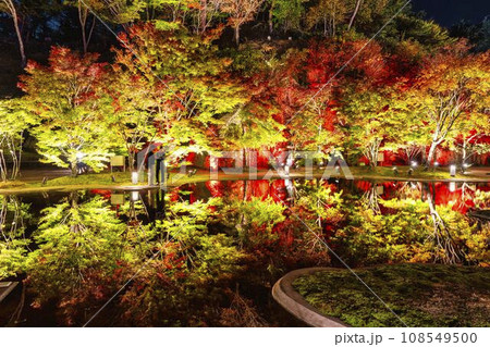 秋の日本三景松島 宮城県松島離宮 「紅葉&ライトアップ2023」 宮城県松島町 秋の日本三景松島 宮城県松島離宮 「紅葉&ライトアップ2023」 宮城県松島町 108549500