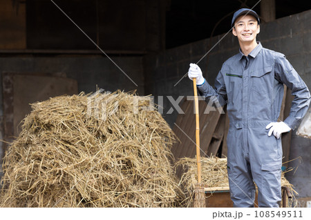 牛を飼育する酪農家 牛を飼育する酪農家 108549511