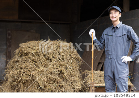 牛を飼育する酪農家 牛を飼育する酪農家 108549514