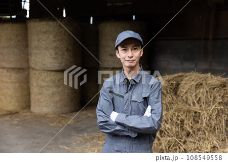 牛を飼育する酪農家 牛を飼育する酪農家 108549558