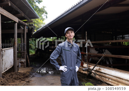 牛を飼育する酪農家 牛を飼育する酪農家 108549559