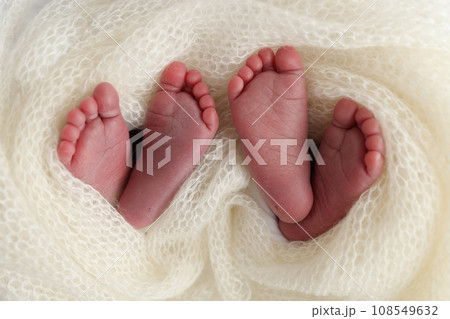 Legs, toes, feet and heels of newborn twins. Wrapped in a knitted white blanket. Studio macro photography of the legs of newborn twins, close-up white backgraund. Two newborns. 108549632