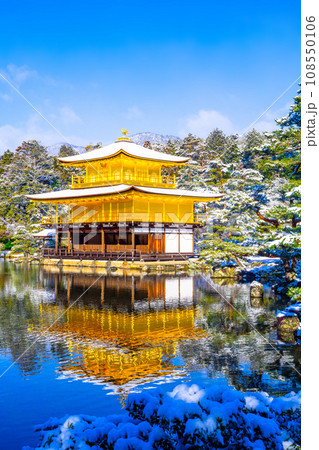 雪化粧した金閣寺 108550106