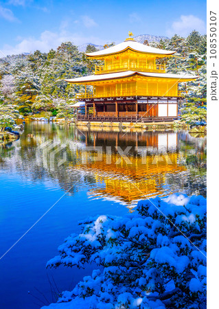 雪化粧した金閣寺 108550107