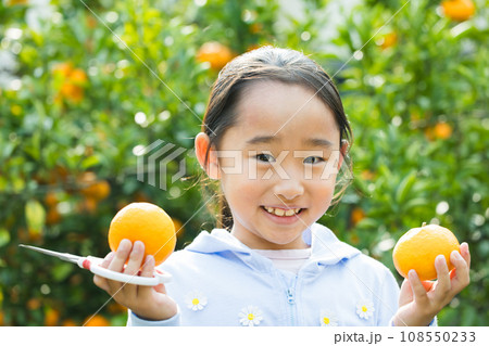 みかん狩りを楽しむ女の子 みかん狩りを楽しむ女の子 108550233