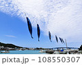 本部町かつおのぼり 108550307