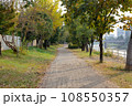 紅葉し始めた秋の散歩道 108550357
