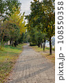 紅葉し始めた秋の散歩道 108550358