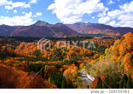 紅葉の山肌 108550361