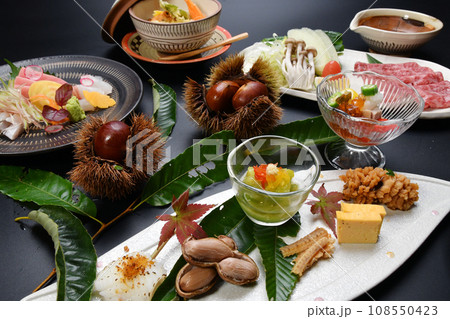 秋を感じる盛り付けがが華やかな懐石料理のコース 秋を感じる盛り付けがが華やかな懐石料理のコース 108550423