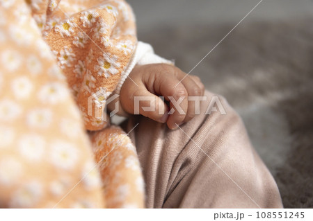 乳幼児の左手 108551245