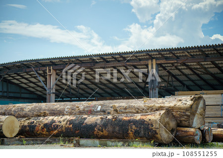 丸太置場 丸太置場 108551255