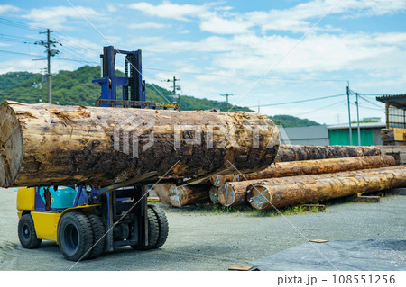 丸太とフォークリフト 108551256